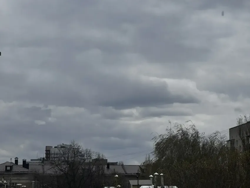 Апрель, достать пухан и плакать: чем порадует воронежцев погода в выходные 