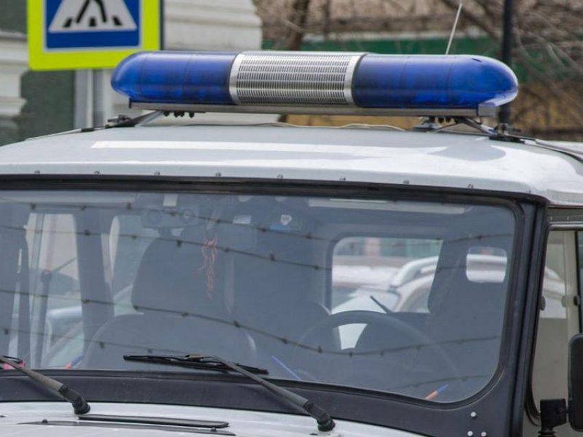 Полицейские прокомментировали избиение патрульными воронежца в лесу 