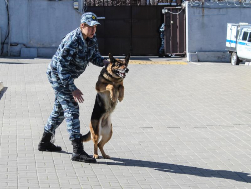 ГБР задержала подозрительного мужчину возле воронежской школы 