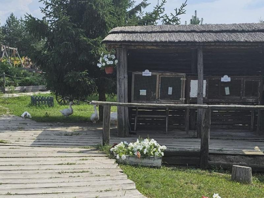 Зоопарки без лицензии выявлены в Воронежской области