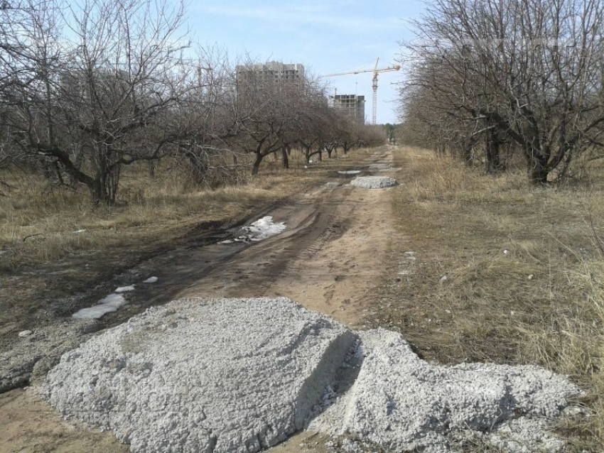 В воронежском Росимуществе уверены, что изъятие яблоневого сада нанесло ущерб государству