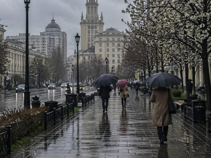 Чего ждать от погоды в Воронеже на выходных?