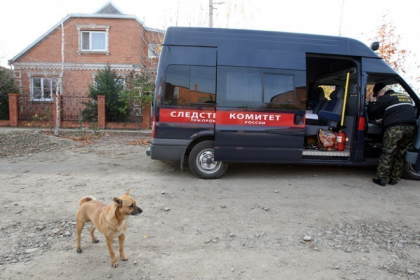 В Воронежской области за воровство электропилы мужчину зарубили топором