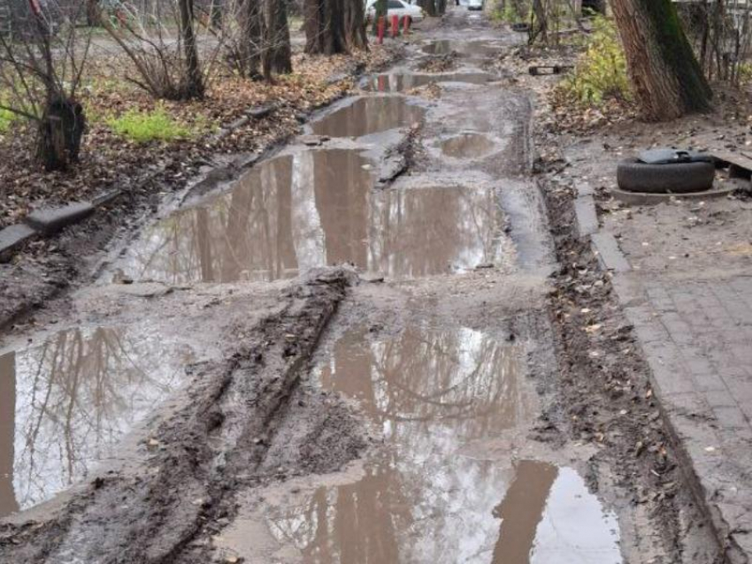 "Восстание грязевого монстра» заметили в воронежском дворе