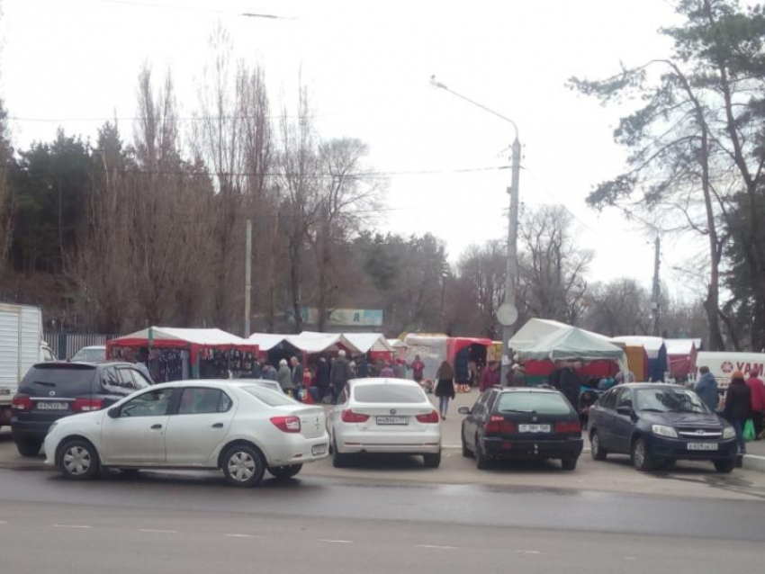 Превращение парка в логово торговцев показали в Воронеже