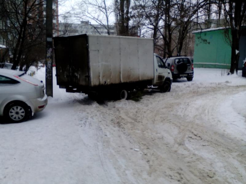 Грубое использование елки показали во дворе Воронежа 