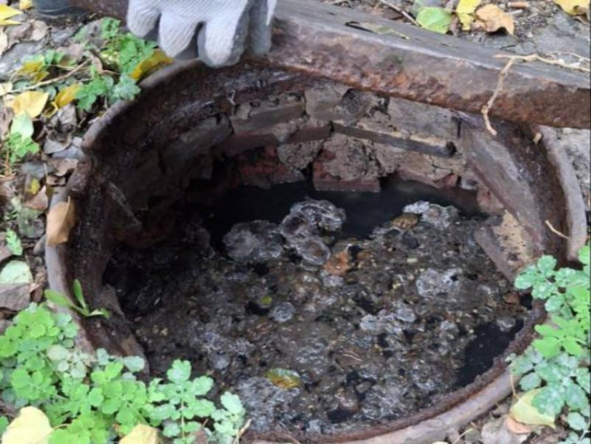 Смердящий подвал жилого дома в центре Воронежа показали на видео