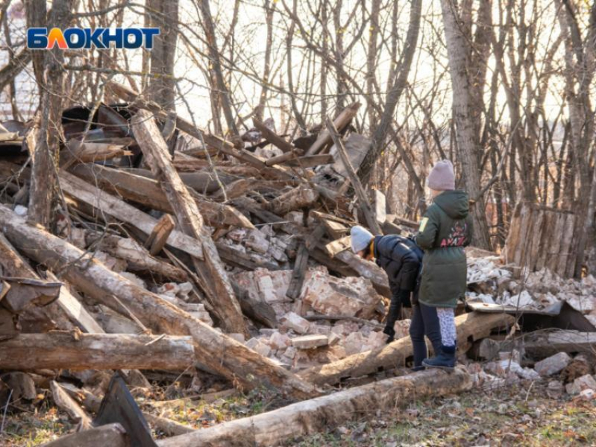 Воронежский лестех открестился от скандального сноса усадьбы Олениных