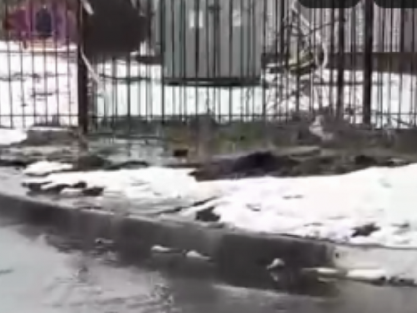 Фекальный потоп у детского сада под Воронежем попал на видео