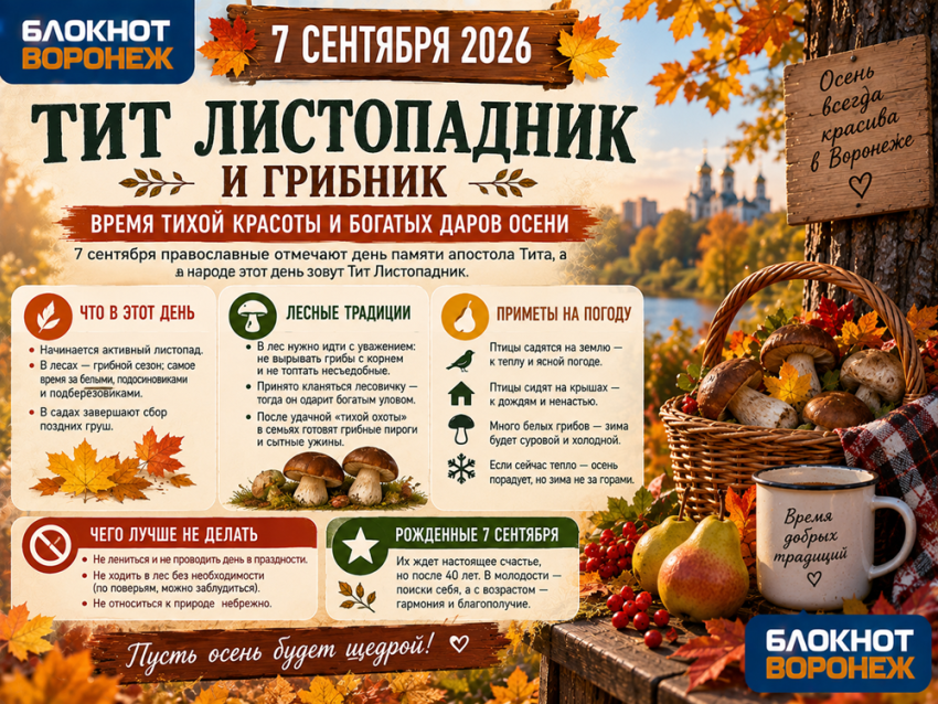 Грибы, листопад и пророчества птиц: что принесет воронежцам 7 сентября