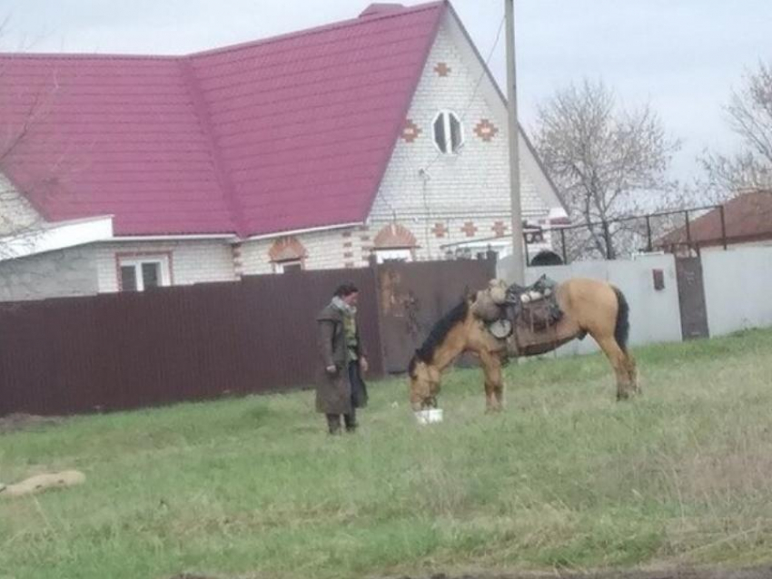 Путешествующую на коне итальянку заметили под Воронежем