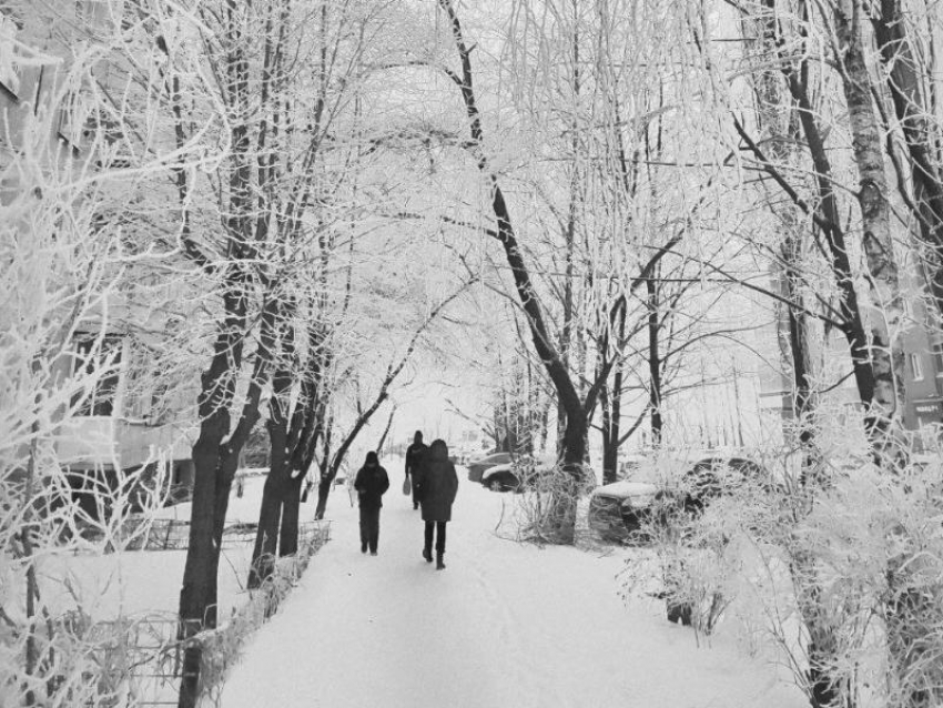 Когда в Воронеже начнется климатическая зима, рассказал главный метеоролог региона 