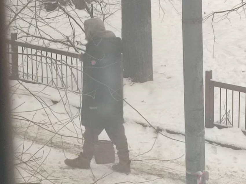 «Полез в приямок, как собака сутулая» – таинственный бомж кошмарит жильцов дома в центре Воронежа