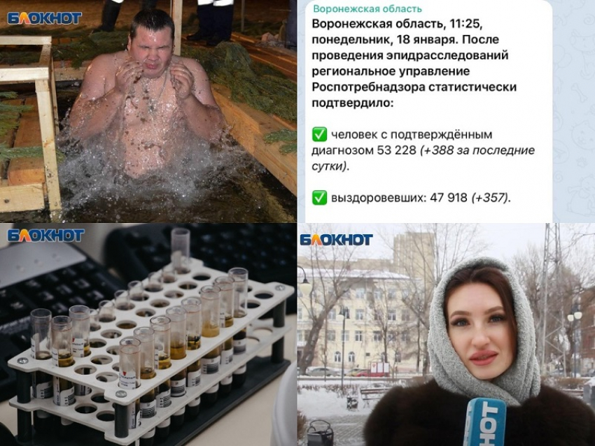 Коронавирус в Воронеже 18 января: +388 зараженных, 17 смертей и число вакцинированных 