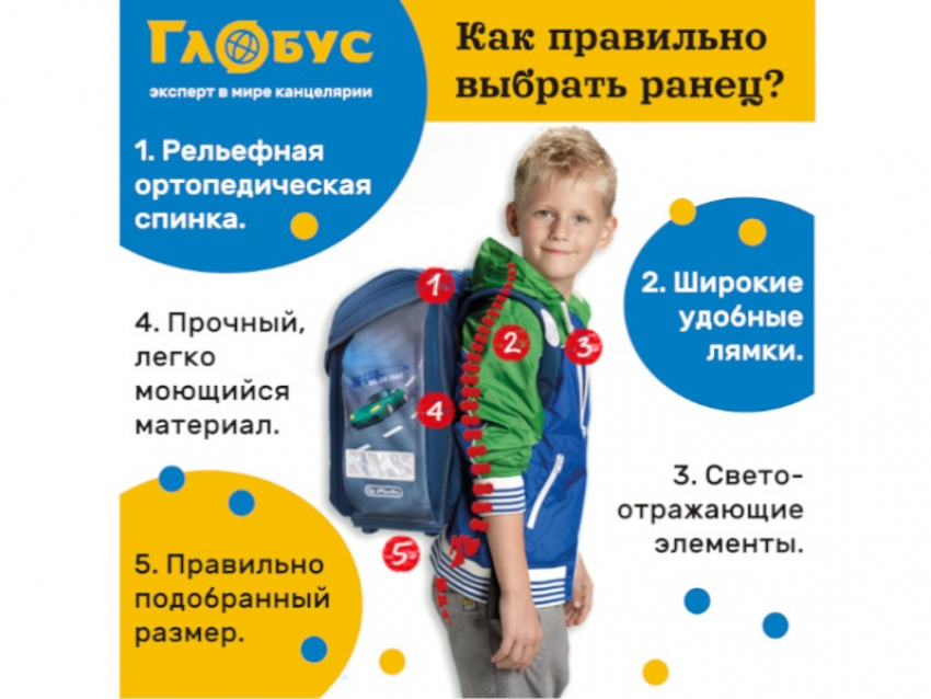 Как правильно выбрать рюкзак в школу, рассказали эксперты в Воронеже 