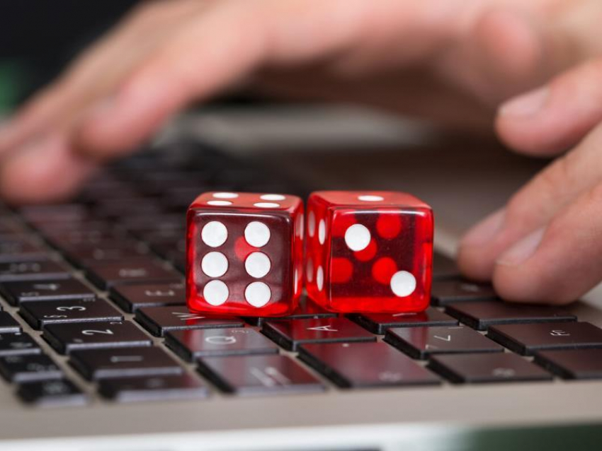 Воронежскую ОПГ из десяти женщин осудили за азартные игры 