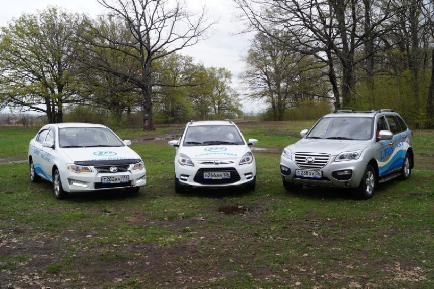 Китайский характер в Воронежской области