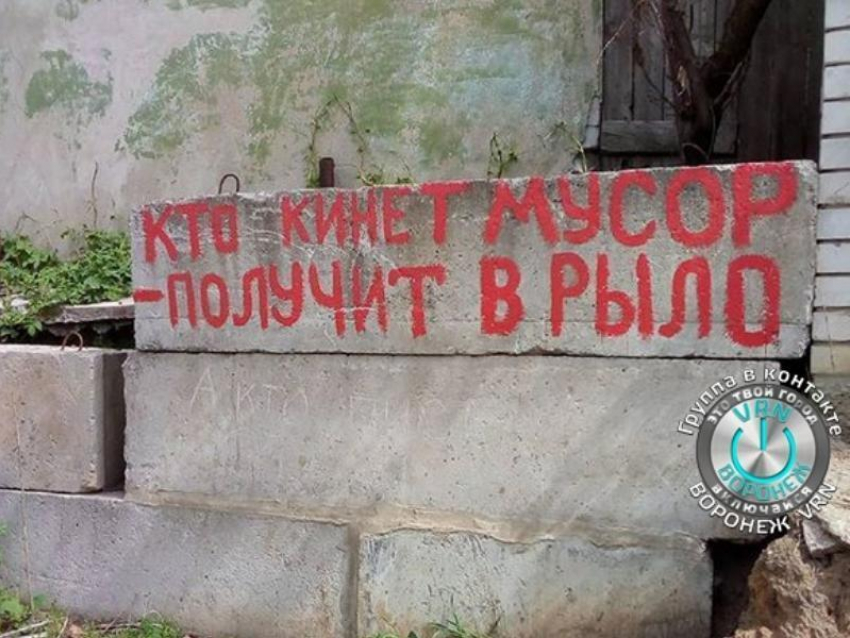 Дерзкое предупреждение любителям мусорить сфотографировали в Воронеже 