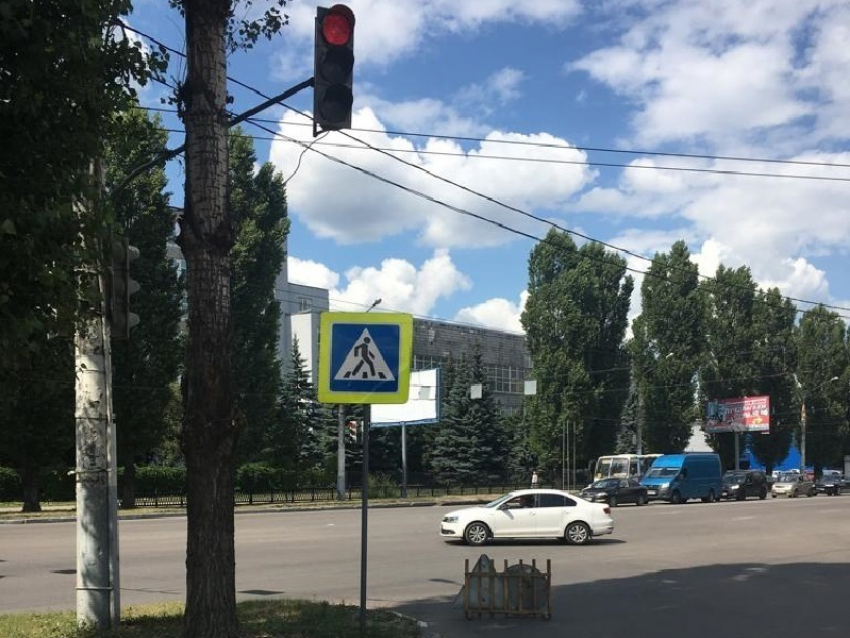 Мэрия Воронежа разобралась с деревом, которое мешало светофору