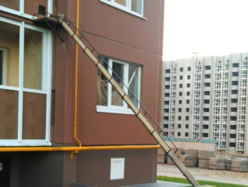Жители воронежской многоэтажки соорудили отдельную лестницу для кота