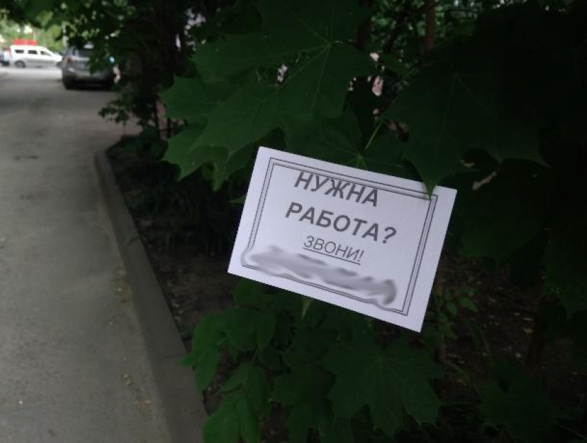 В Воронеже организаторы лохотрона используют для рекламы деревья
