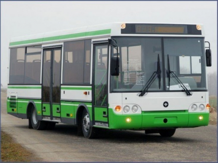 Воронежская область закупит 50 автобусов для «народного маршрута»