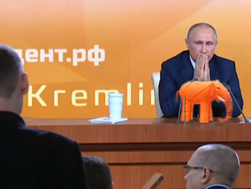 Вопрос Путину по заданию Гордеева, а воронежцы сходят с ума от оранжевого слона – ТОПка #5