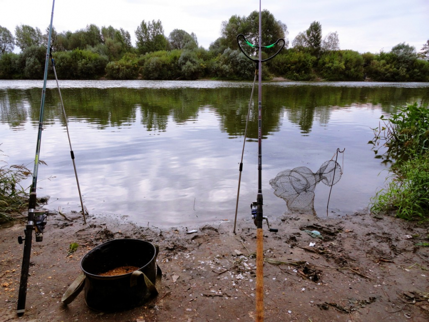 В Воронеже начали подготовку к ограничению весеннего рыболовства из-за нереста