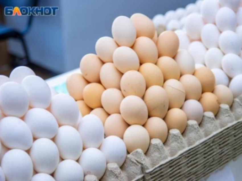 Кризис несушек? Резкое сокращение производства яиц зафиксировано в Воронежской области