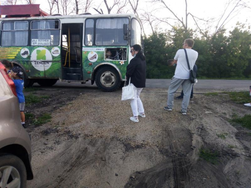 «Когда будут ходить нормальные автобусы?»: воронежцы возмущены «древними» маршрутками
