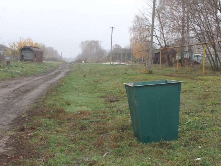 Не оборудованная мусорка толкает людей на радикальные меры под Воронежем 