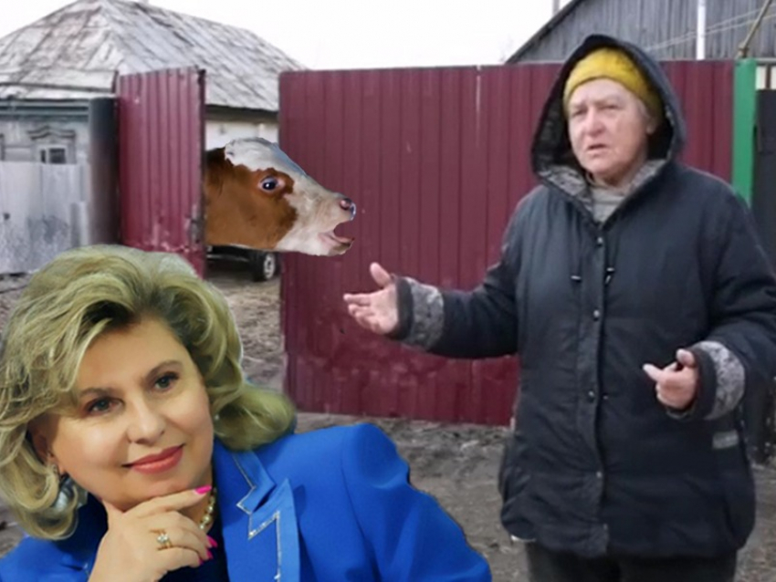 Главного омбудсмена РФ Москалькову призвали защитить воронежскую пенсионерку, кормившую коров коноплёй