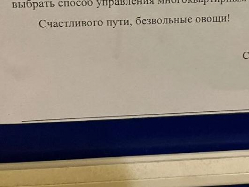 Воронежцев назвали безвольными овощами от имени УК