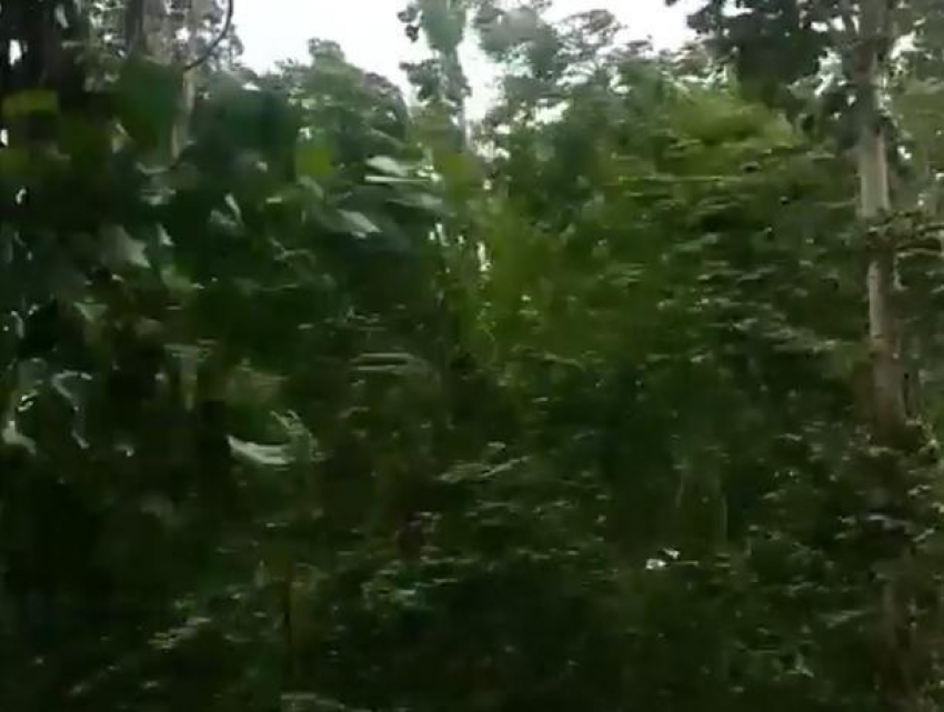 Яростный шторм попал на видео и напомнил воронежцам о Мэри Поппинс