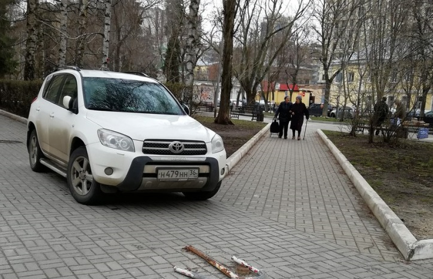 Быдло-парковку устроили автомобилисты на аллее в центре Воронежа