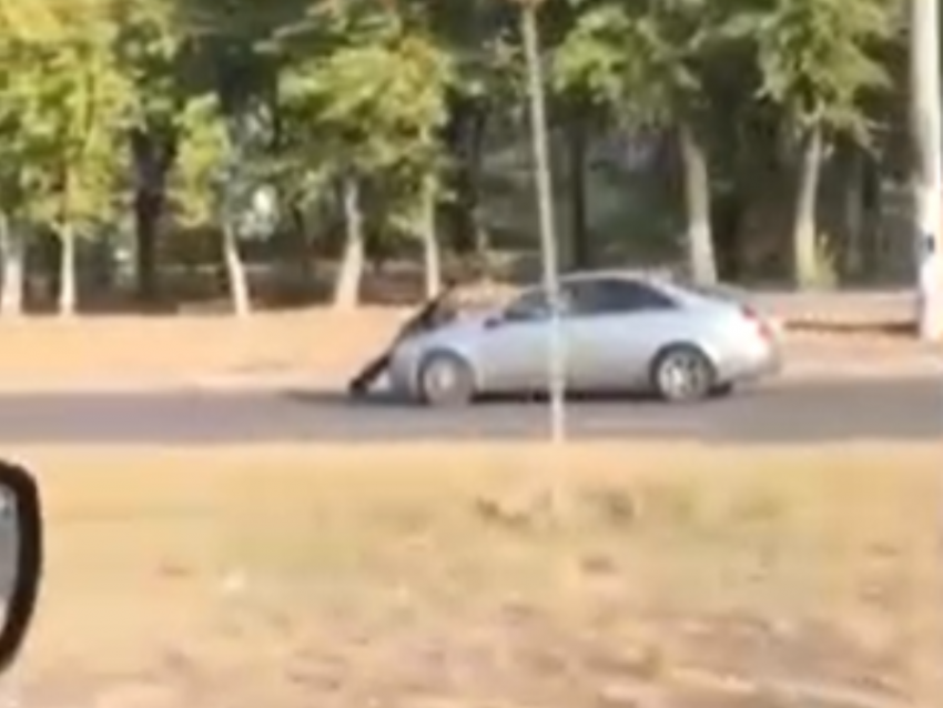 Необъяснимо упертую поездку человека на капоте автомобиля сняли в Воронеже 