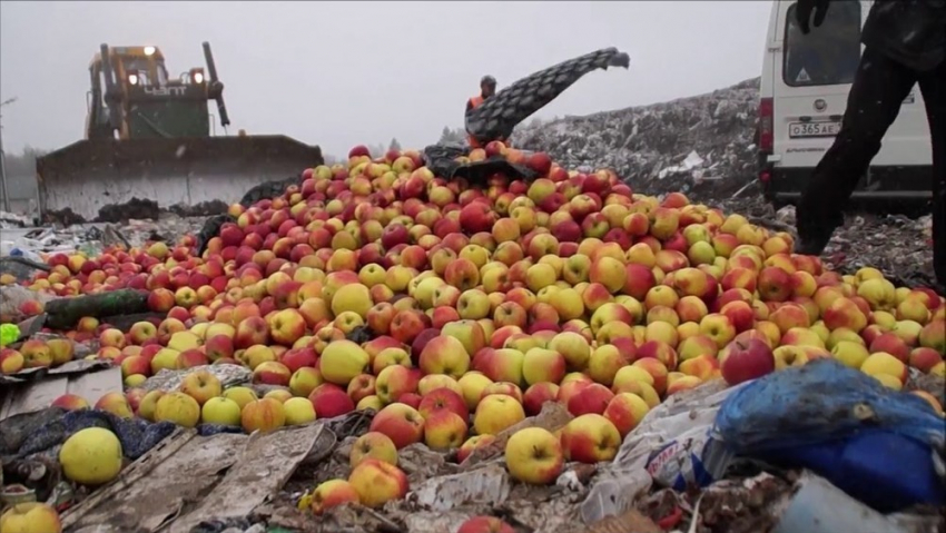 Под Воронежем уничтожили больше тонны яблок из Польши