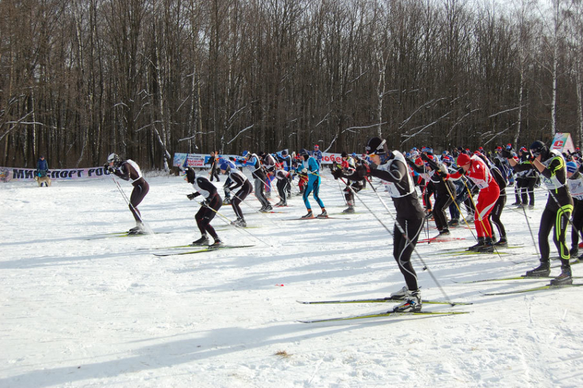 В Воронеже отметят Всероссийский день зимних видов спорта