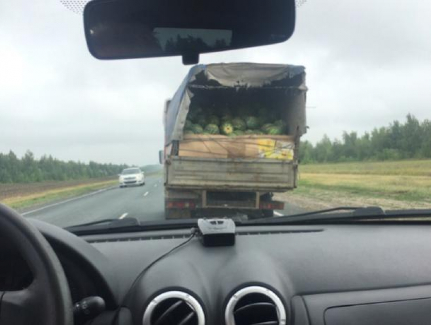 Арбузный «Пункт назначения» показали на фото в Воронеже