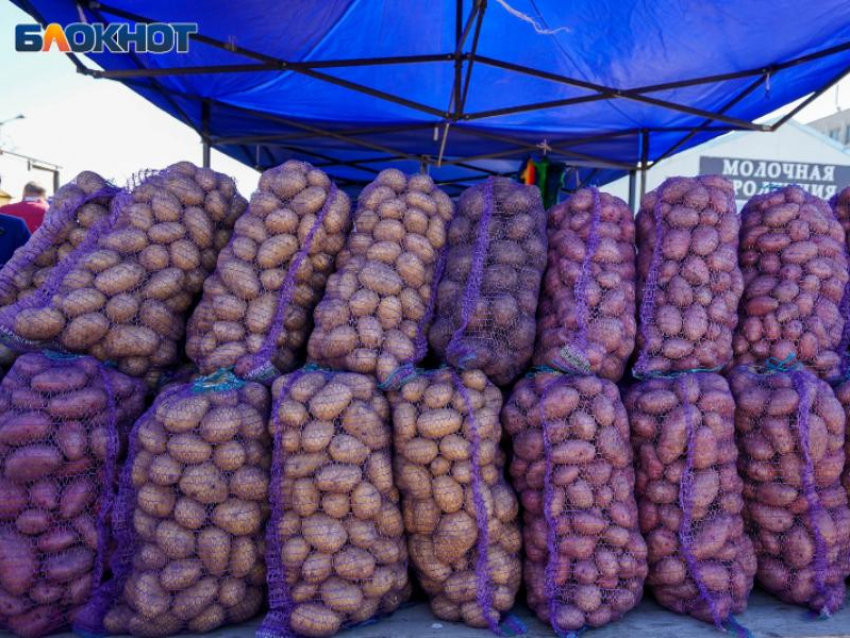 Стало известно, что подешевело в Воронеже за август