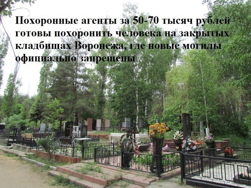 В Воронеже идет бойкая торговля местами на закрытых кладбищах — кто «банкует» и остается в плюсе (АУДИО)