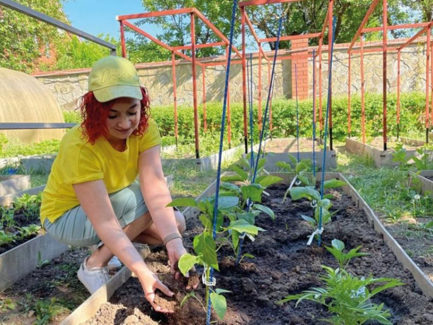 Обязательные майские работы в саду и огороде