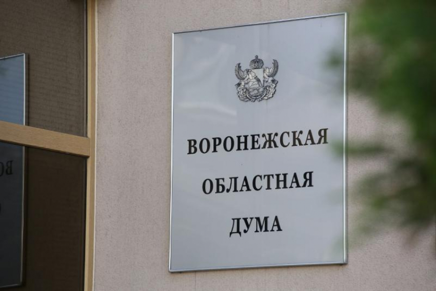 Стали известны обладатели комитетских портфелей в Воронежской облдуме