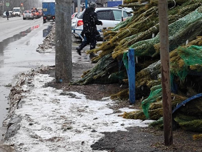 Грязевой елочный базар сфотографировали в воронежском Северном