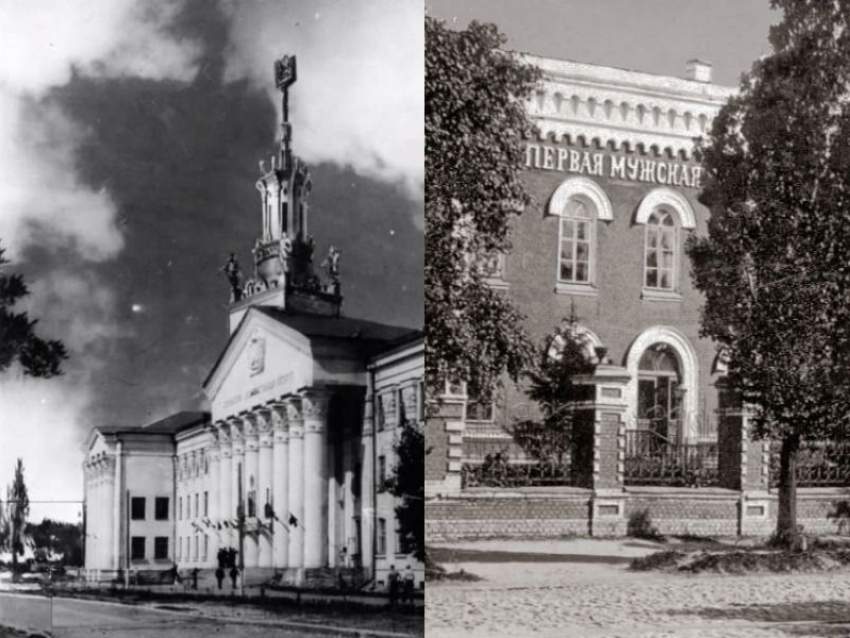 96 лет назад в Воронеже появились лесотехнический и технологический институты