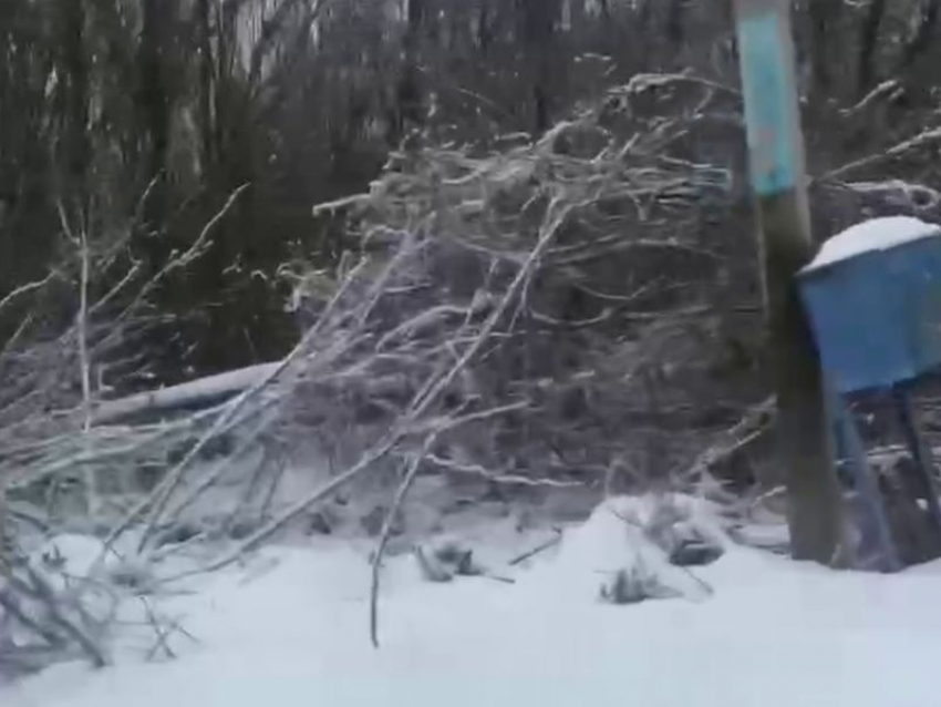 Равнодушие электриков на новогодних праздниках воронежцы сняли на видео