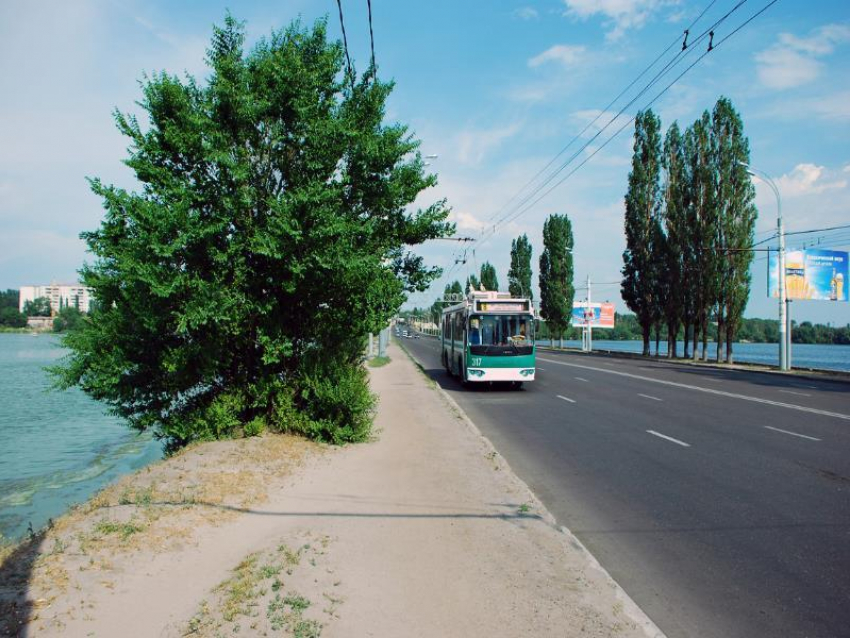 Троллейбус №8 вновь начнет ходить по Воронежу