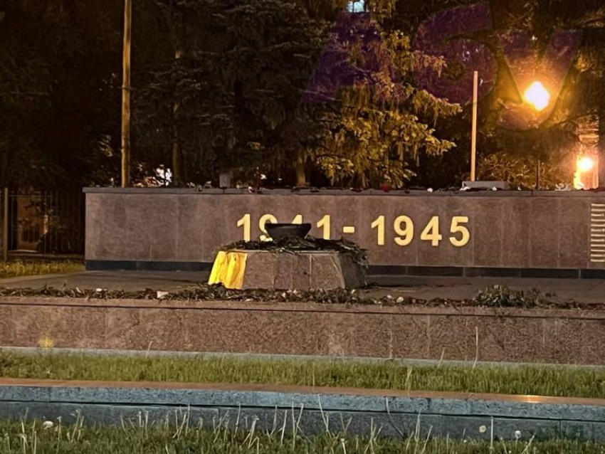 Бастрыкин заинтересовался осквернением Памятника Славы в Воронеже