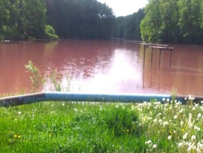 Кровавого цвета вода воронежского озера попала на видео