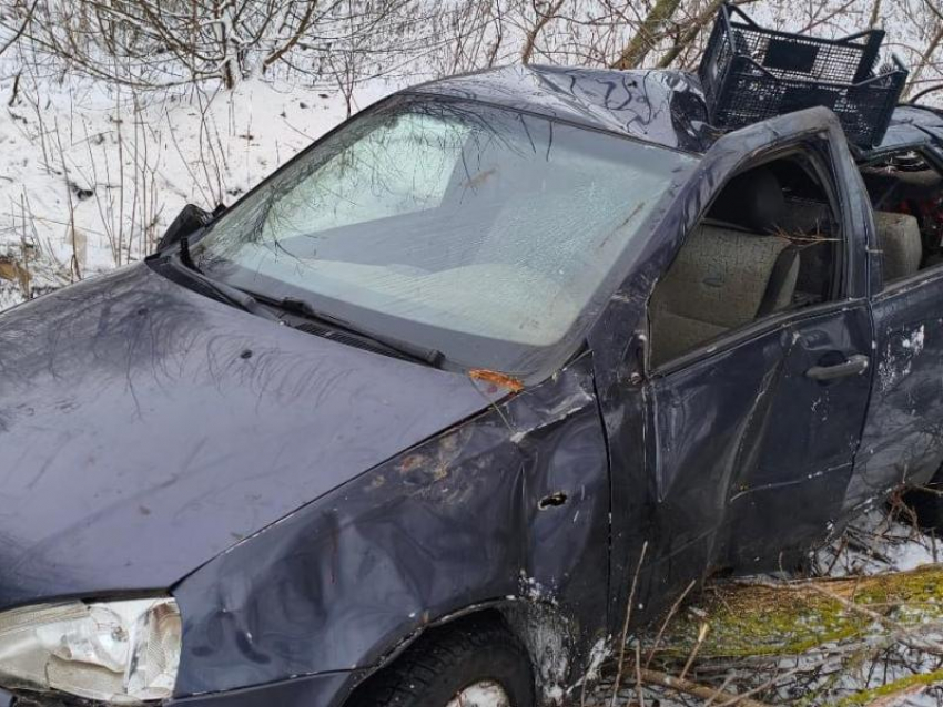 Машина вылетела в кювет и врезалась в дерево в Воронежской области